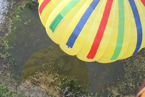 Boynton Critters Hot Air Balloon Reflecting in Michigan Lake